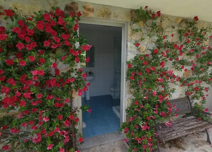 Valadas * Canedo (Aveiro)